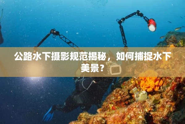 公路水下摄影规范揭秘，如何捕捉水下美景？