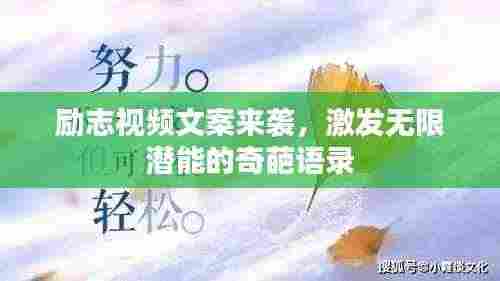 励志视频文案来袭,激发无限潜能的奇葩语录