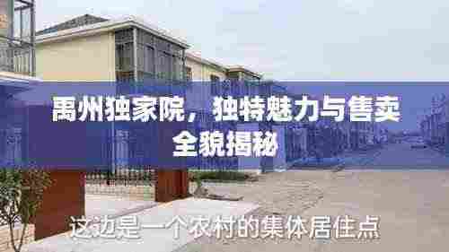 禹州独家院,独特魅力与售卖全貌揭秘