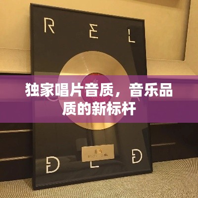 独家唱片音质,音乐品质的新标杆