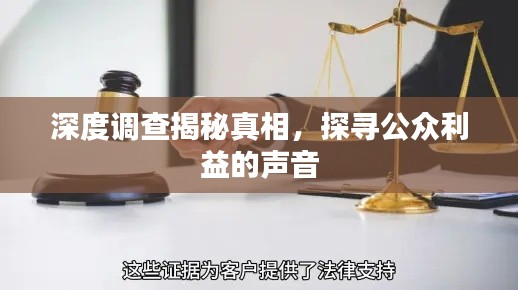 深度调查揭秘真相,探寻公众利益的声音