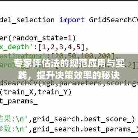 专家评估法的规范应用与实践,提升决策效率的秘诀