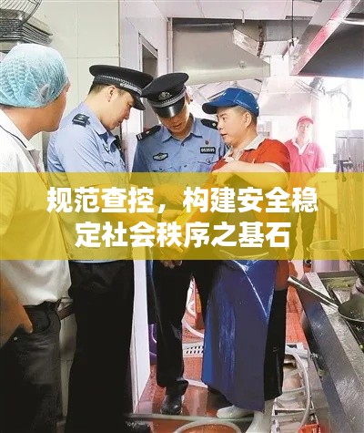 规范查控，构建安全稳定社会秩序之基石