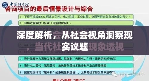深度解析,从社会视角洞察现实议题