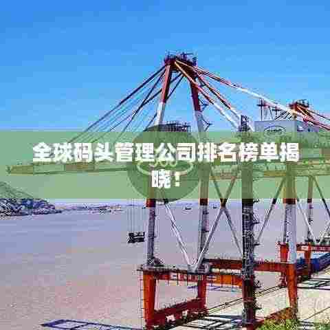全球码头管理公司排名榜单揭晓!