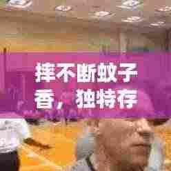 摔不断蚊子香,独特存在与非凡体验