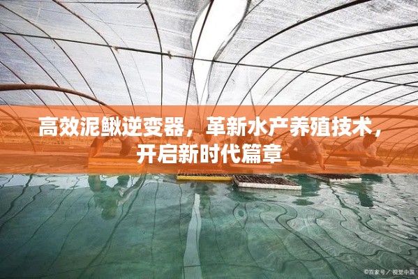 高效泥鳅逆变器,革新水产养殖技术,开启新时代篇章