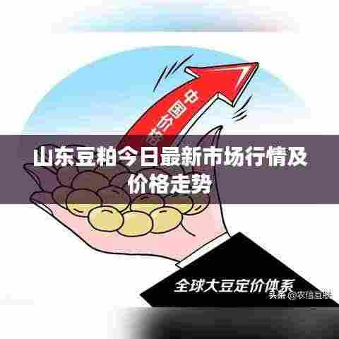 山东豆粕今日最新市场行情及价格走势