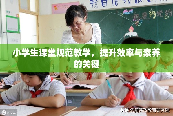 小学生课堂规范教学,提升效率与素养的关键