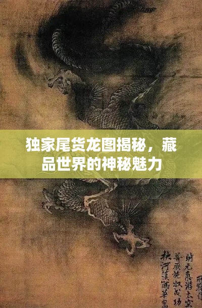独家尾货龙图揭秘,藏品世界的神秘魅力