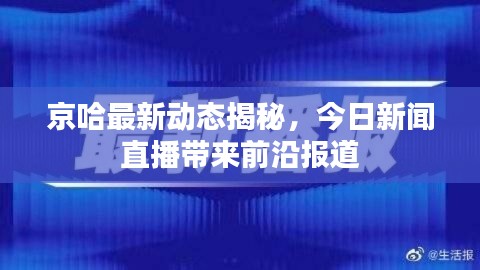 京哈最新动态揭秘,今日新闻直播带来前沿报道