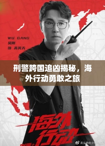 刑警跨国追凶揭秘，海外行动勇敢之旅