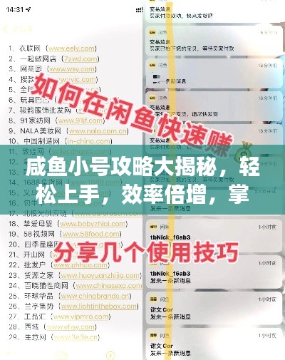 咸鱼小号攻略大揭秘,轻松上手,效率倍增,掌握最新秘籍!