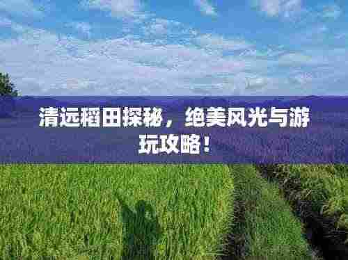 清远稻田探秘，绝美风光与游玩攻略！