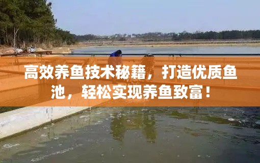 高效养鱼技术秘籍,打造优质鱼池,轻松实现养鱼致富!