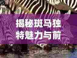 揭秘斑马独特魅力与前行力量,深度探索之旅