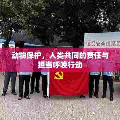 动物保护，人类共同的责任与担当呼唤行动