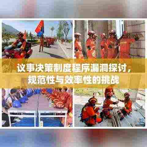 议事决策制度程序漏洞探讨,规范性与效率性的挑战