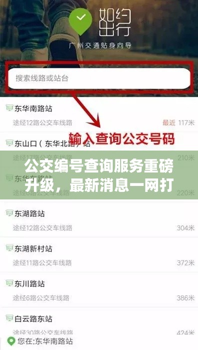 公交编号查询服务重磅升级,最新消息一网打尽!