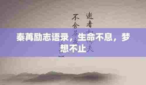 秦苒励志语录，生命不息，梦想不止