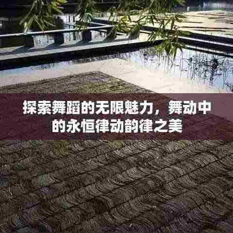 探索舞蹈的无限魅力，舞动中的永恒律动韵律之美