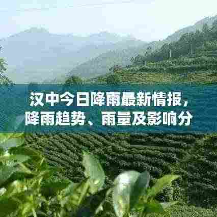 汉中今日降雨最新情报，降雨趋势、雨量及影响分析