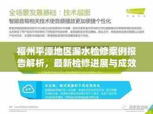 福州平潭地区漏水检修案例报告解析，最新检修进展与成效展示