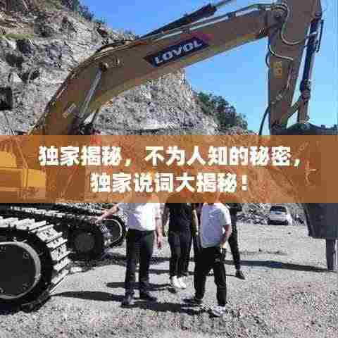 独家揭秘，不为人知的秘密，独家说词大揭秘！