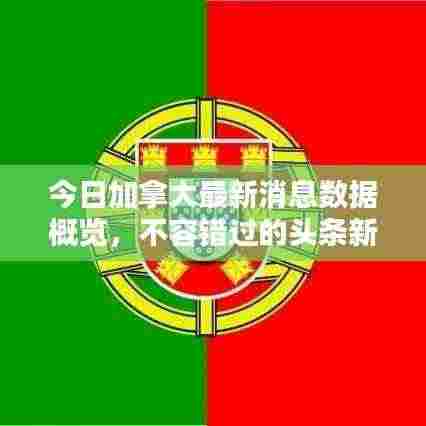 今日加拿大最新消息数据概览,不容错过的头条新闻!