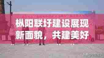 枞阳联圩建设展现新面貌,共建美好家园,新闻头条报道