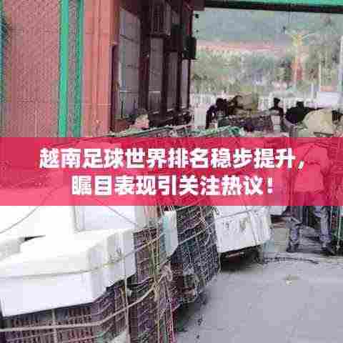 越南足球世界排名稳步提升,瞩目表现引关注热议!