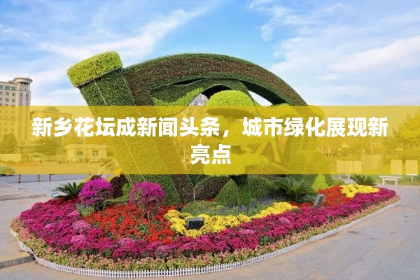 新乡花坛成新闻头条,城市绿化展现新亮点
