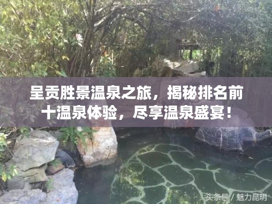 呈贡胜景温泉之旅，揭秘排名前十温泉体验，尽享温泉盛宴！