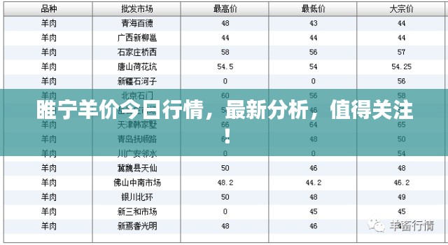 睢宁羊价今日行情,最新分析,值得关注!