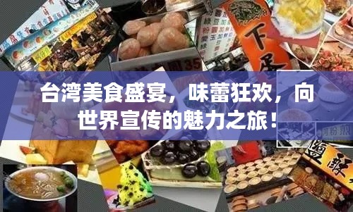台湾美食盛宴，味蕾狂欢，向世界宣传的魅力之旅！