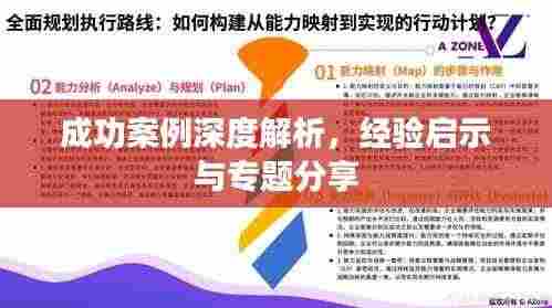 成功案例深度解析,经验启示与专题分享