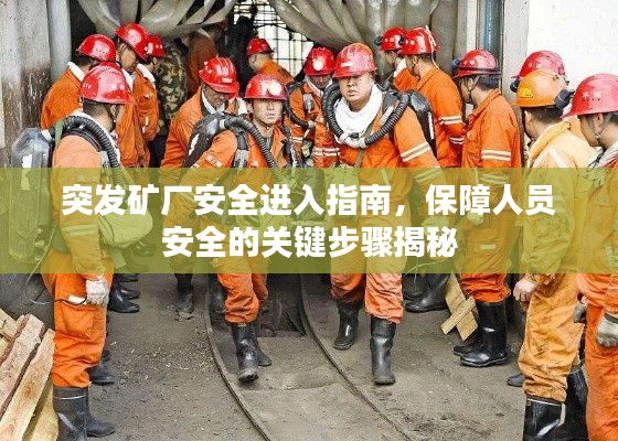突发矿厂安全进入指南,保障人员安全的关键步骤揭秘