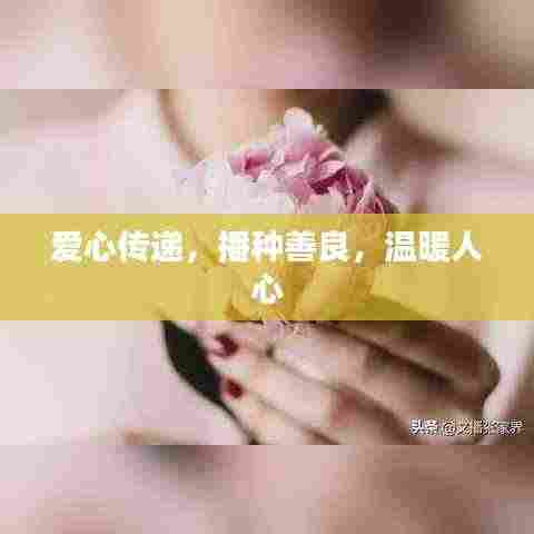 爱心传递,播种善良,温暖人心