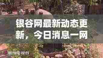 九死一生 第3页