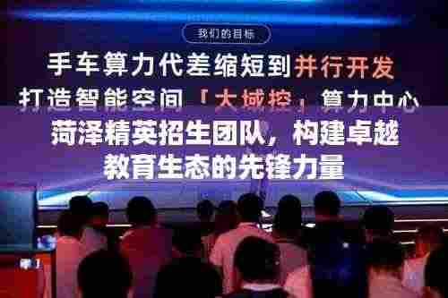 菏泽精英招生团队,构建卓越教育生态的先锋力量