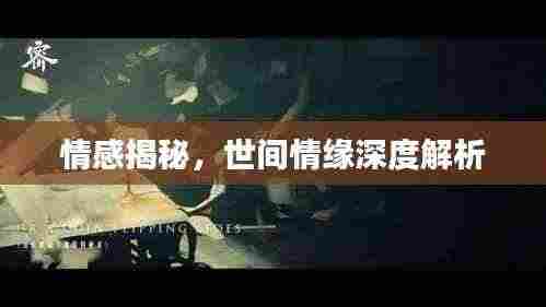 情感揭秘,世间情缘深度解析