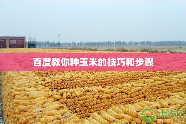 布衣蔬食 第2页