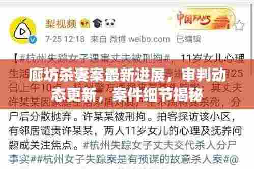 廊坊杀妻案最新进展，审判动态更新，案件细节揭秘