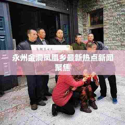 永州金洞凤凰乡最新热点新闻聚焦