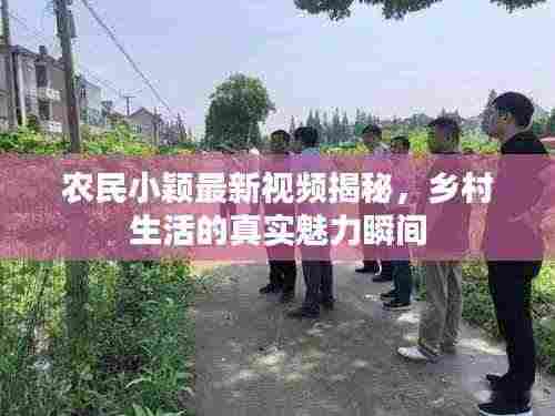 农民小颖最新视频揭秘,乡村生活的真实魅力瞬间
